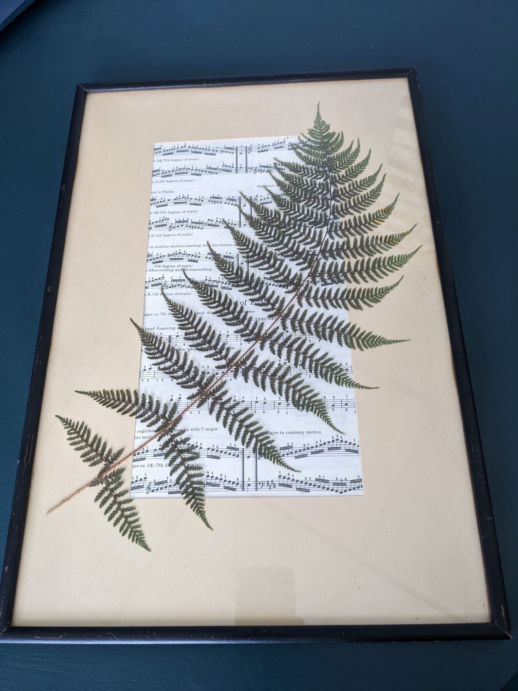 Vintage Sheet Music & Nature Wall Art (Medium) by Heidi Kuhman,  Horticulturist - The Piano Gal Shop | Music Apparel, Piano Art, Music Lover  Gifts